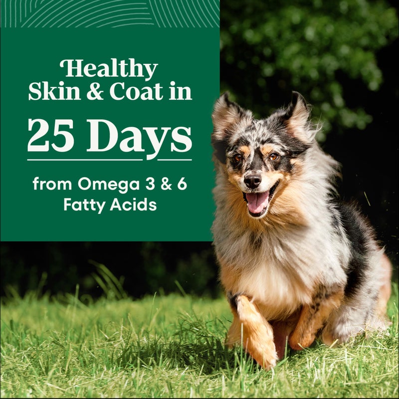 Nutro Natural Choice Adult Dry Dog Food, Lamb & Brown Rice Recipe, 5 lb. Bag - Image 3